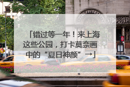 错过等一年！来上海这些公园，打卡莫奈画中的“夏日神颜”→